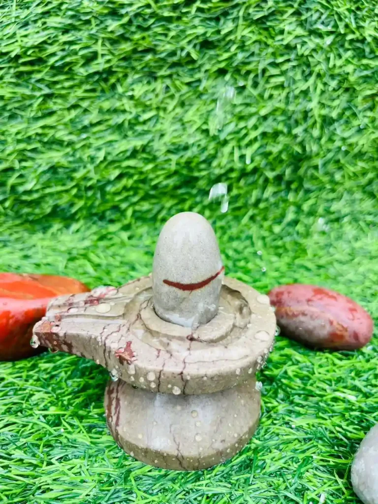 Original-narmdeshwar-shivling-bakawan-jaladhari
