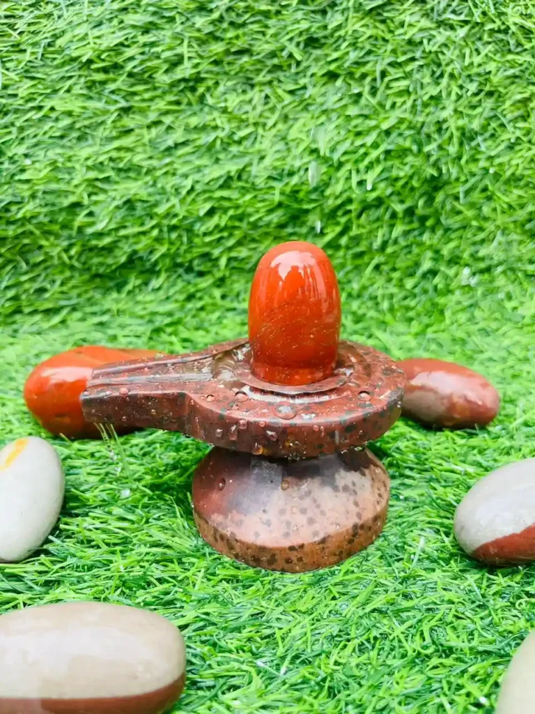 parth-narmadeshwar-shivling-banalingam-bakawan