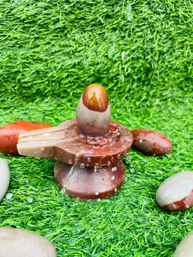 tilak-narmada-stone-shivling-jaladhari
