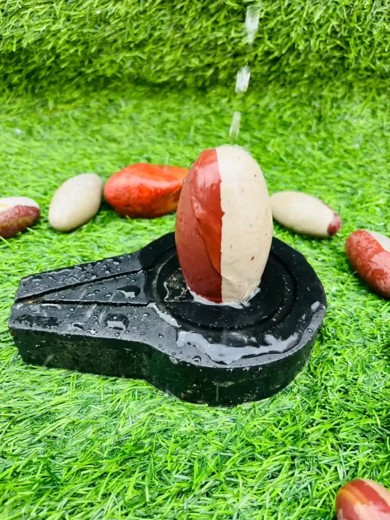 top-selling-ardhnarishwar-original-narmdeshwar-shivling