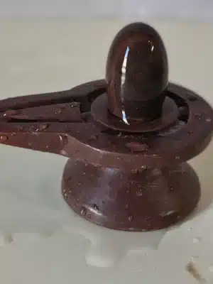 Parth-narmadeshwar-shivling-2inches-10 Janudhari Narmadeshwar Shivling form Narmada River