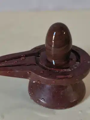 Parth-narmadeshwar-shivling-2inches-14 Janeudhari Shivling With Jaladhari - Narmada River Stone shivling