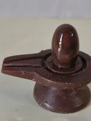 Parth-narmadeshwar-shivling-2inches-6 Red Janudhari Narmadeshwar Shivling for Home