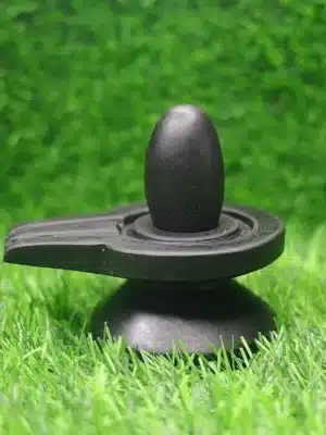 Black Narmadeshwar Shivling on Jaladhari – Sacred Narmada Stone Shivling