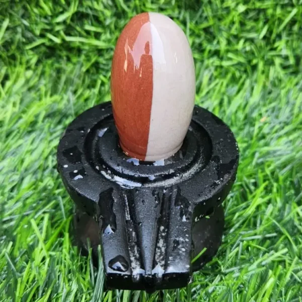 Buy Big Narmada Shivling For Temple and home - Original Narmadeshwar Shivling Stone