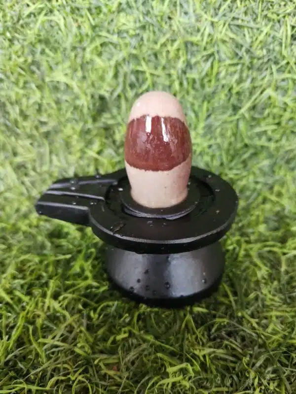 Janeudhari Shivling With Jaladhari - Narmada River Stone