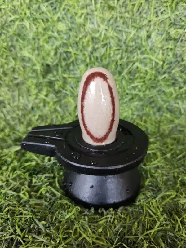 Red Janeudhari Narmadeshwar Shivling with Jaladhari