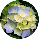 prajkta ingale profile picture