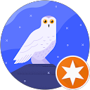 Owl's Prespective profile picture