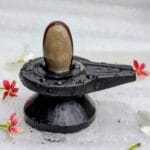 2" Inches Narmadeshwar Shivling with Damru Shape Jaladhari(Base) for Home