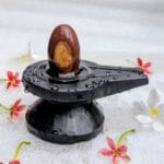2" Inches Narmadeshwar Shivling with Damru Shape Jaladhari(Base) for Home